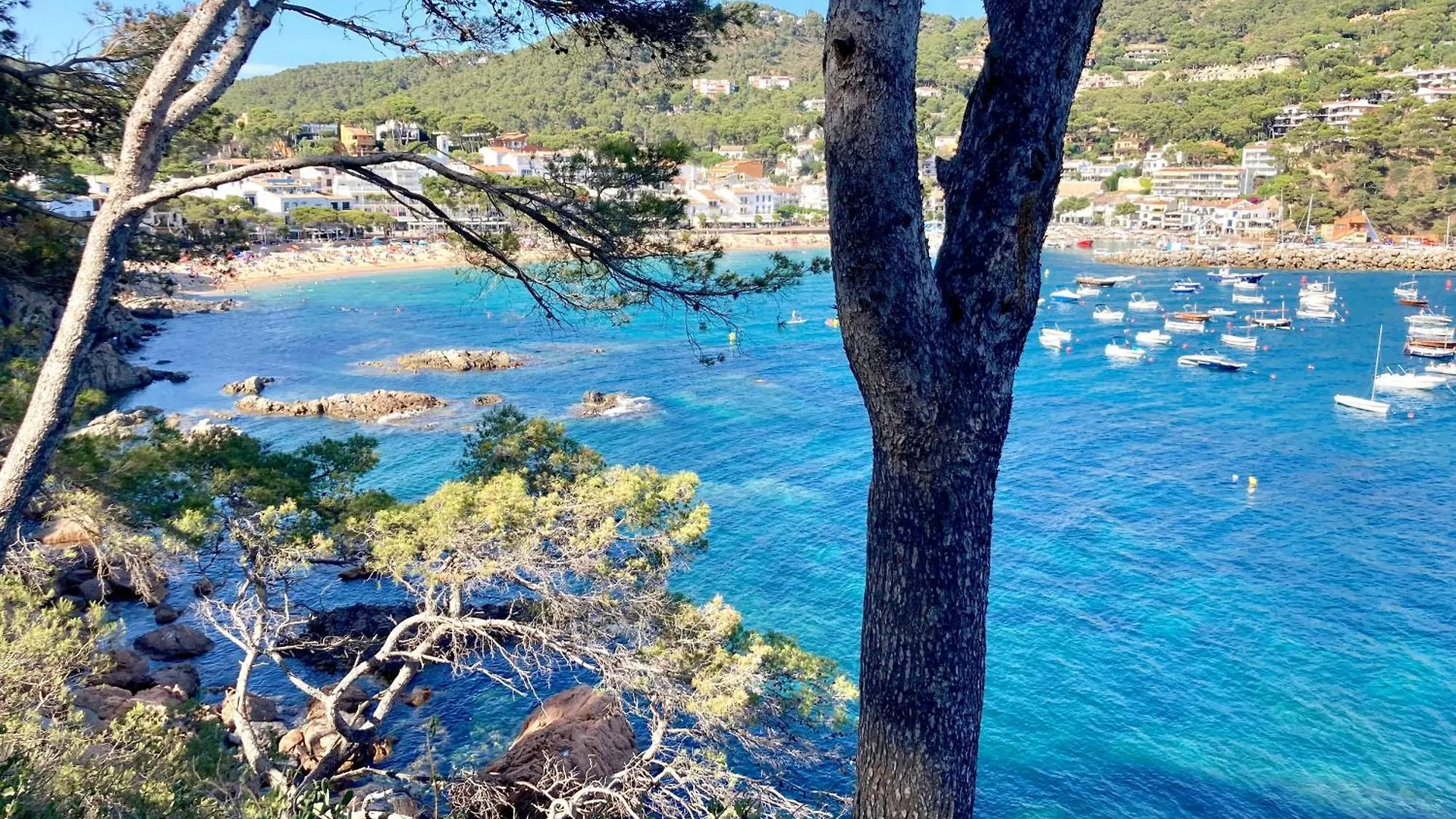 Puig Artigas 2 Lejlighed Calella De Palafrugell 0*,  Spanien