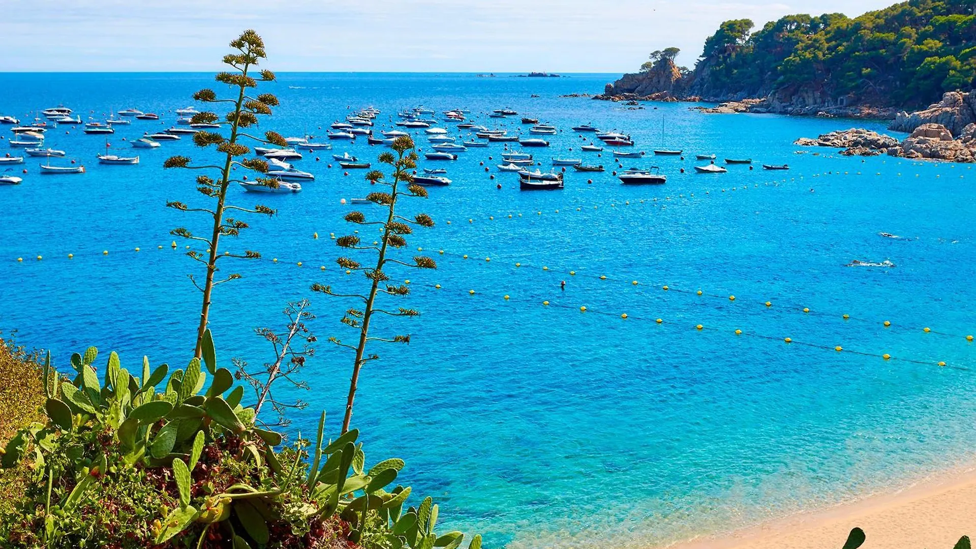 Puig Artigas 2 Lejlighed Calella De Palafrugell