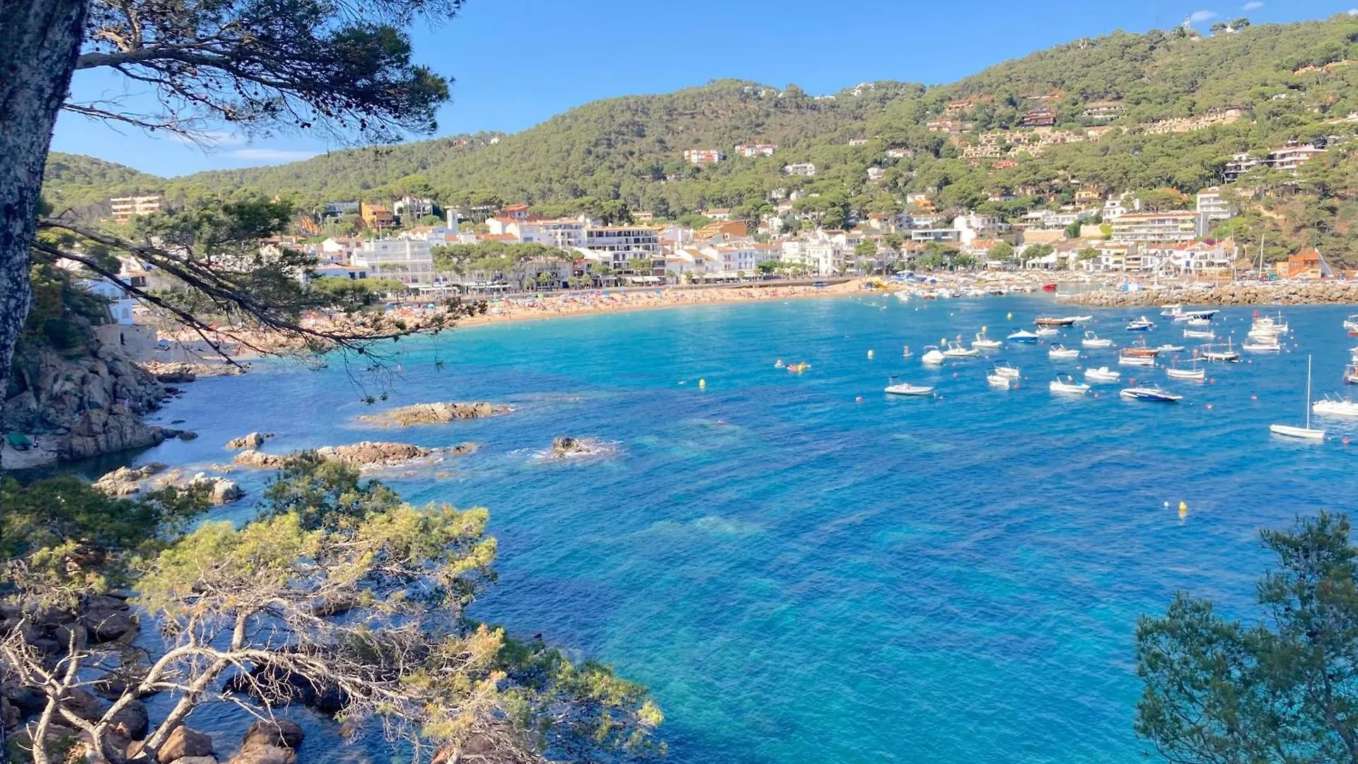 Puig Artigas 2 Lejlighed Calella De Palafrugell